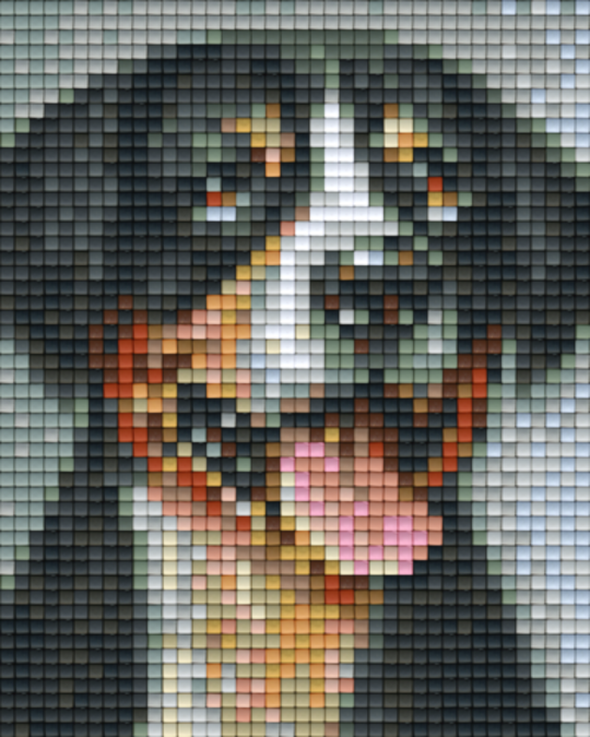 Swiss Mountian Dog  One [1] Baseplates Pixelhobby Mini Mosaic Art kit